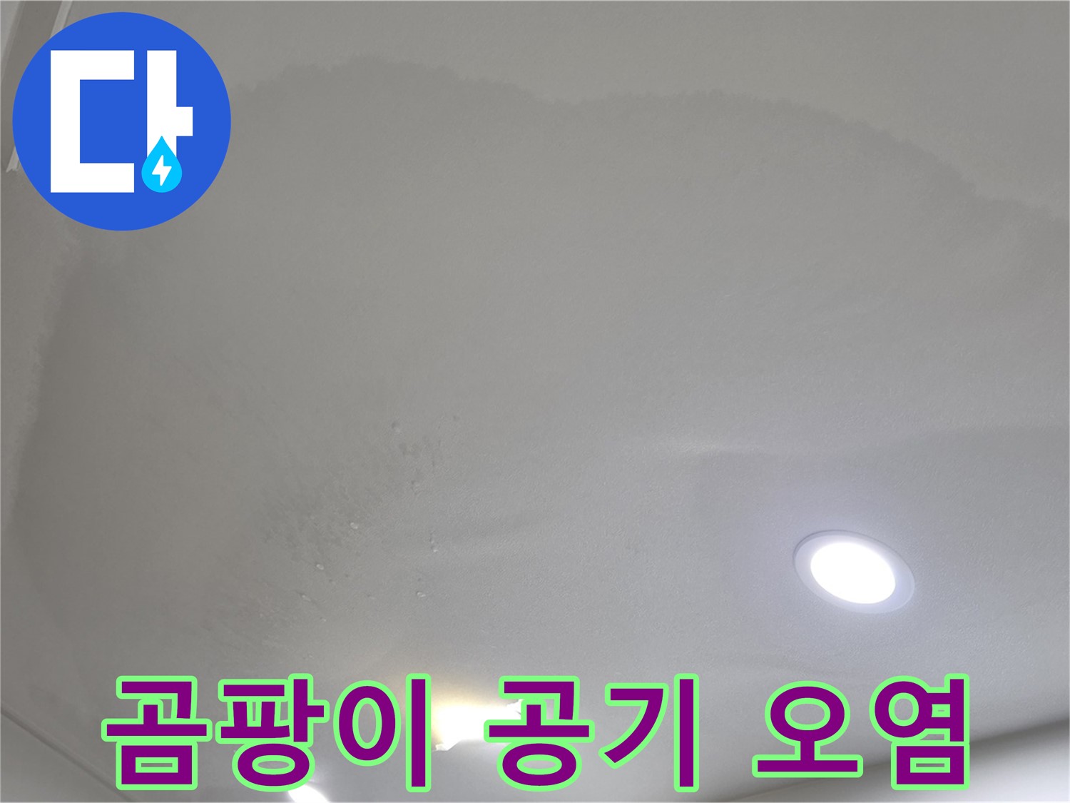 양주시 삼숭동 누수 - 둥근 천장 얼룩 - 곰팡이