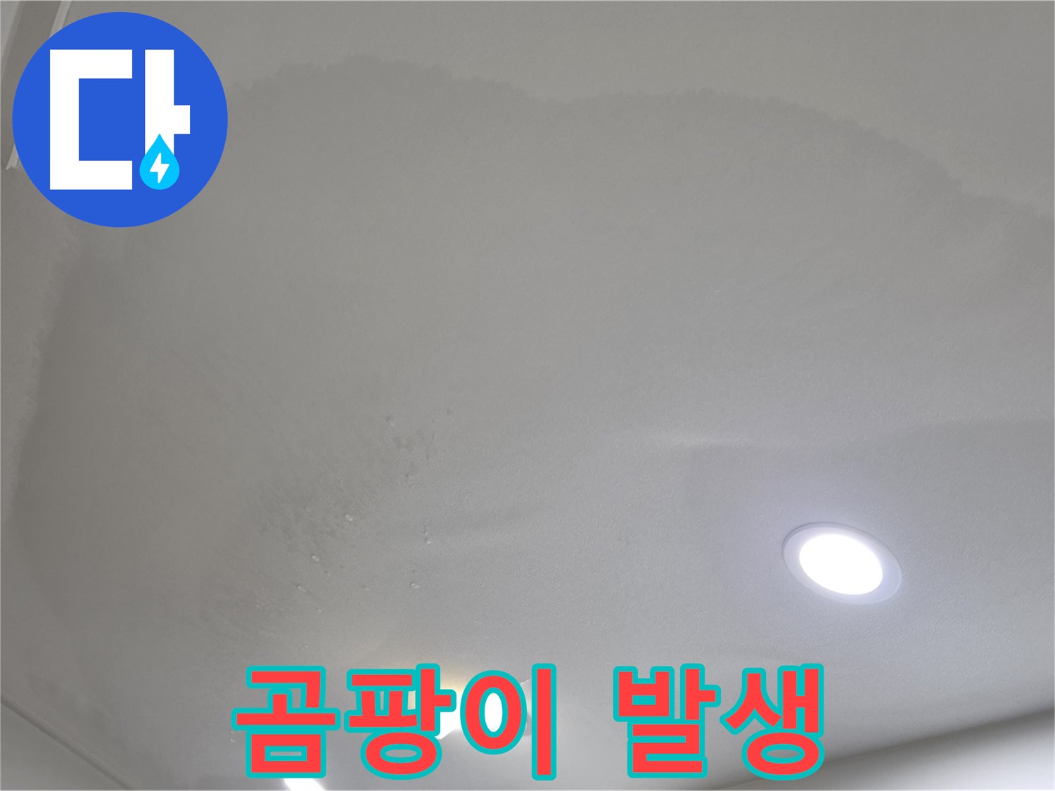양주시 삼숭동 누수 - 물방울 천장 - 곰팡이