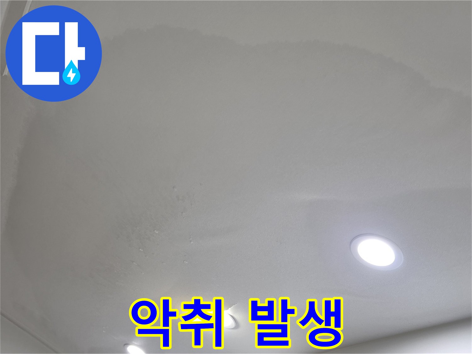 양주시 삼숭동 누수 - 젖은 천장, 악취