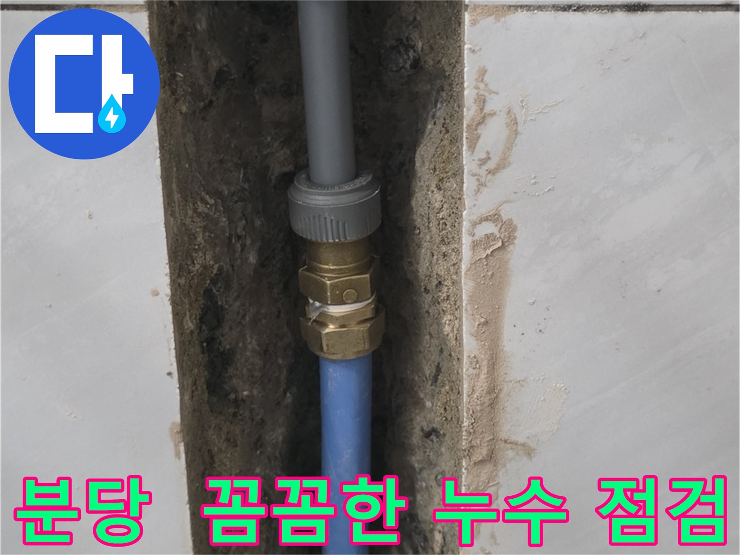 분당 쇳골 - 꼼꼼한 점검으로 욕실 누수 완벽 해결