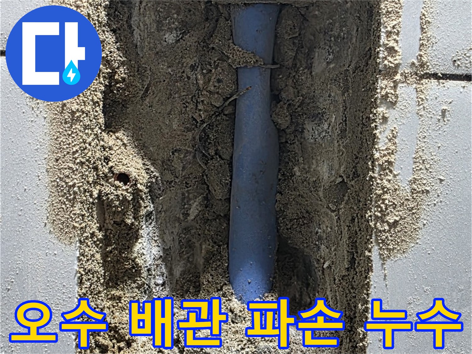 분당 쇳골 누수 - 오수 배관 파손 누수