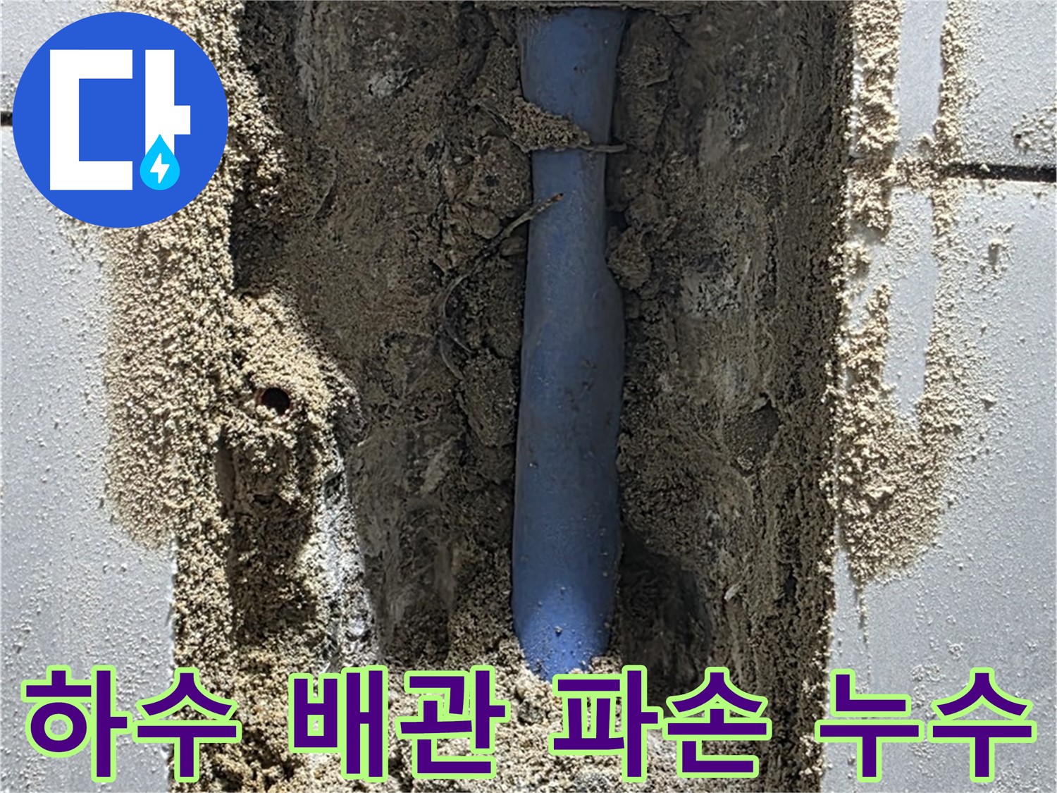 분당 쇳골 누수 - 하수 배관 파손으로 누수 발생