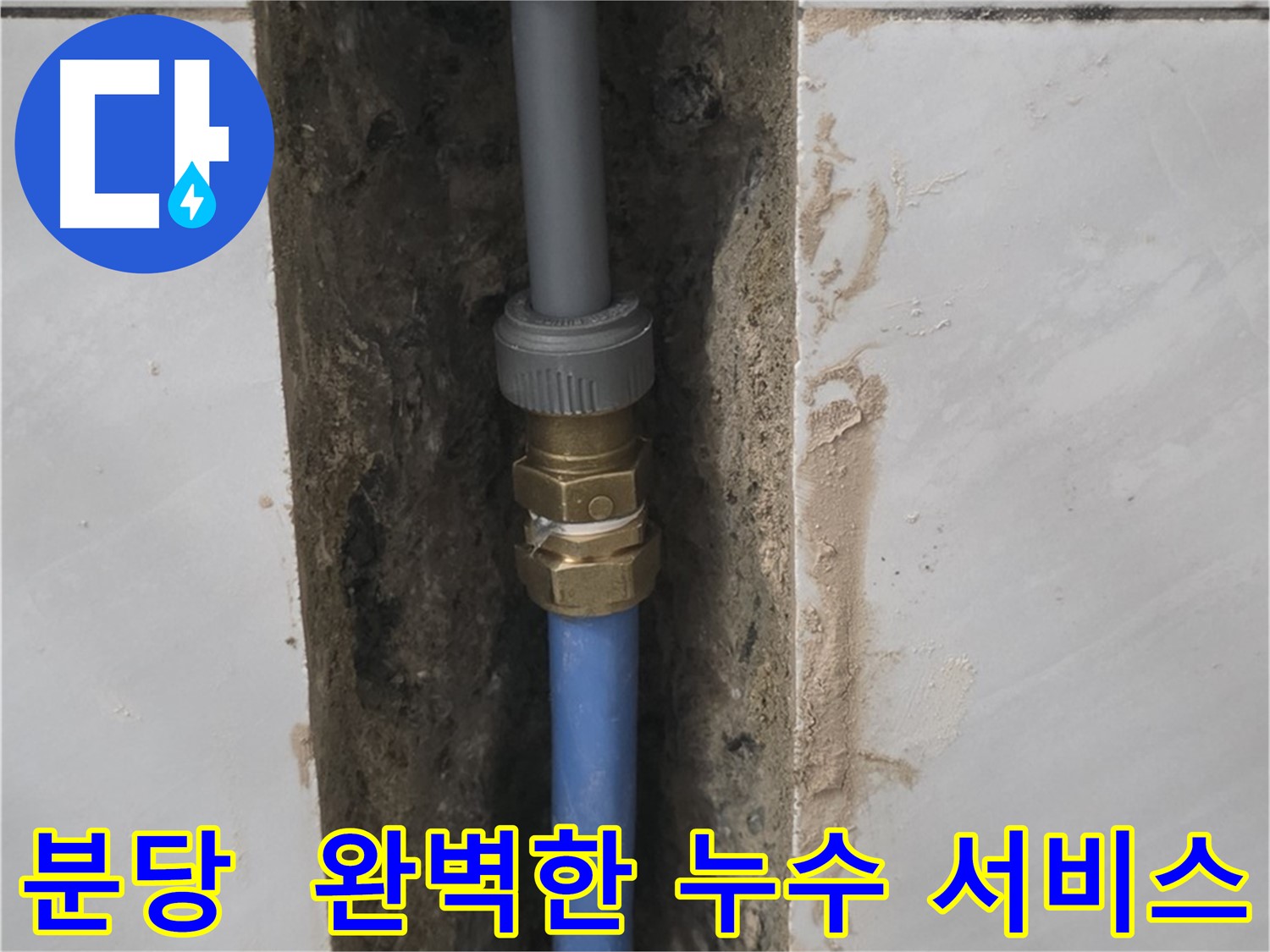 분당 쇳골 - 처음부터 끝까지 책임지는 누수 해결