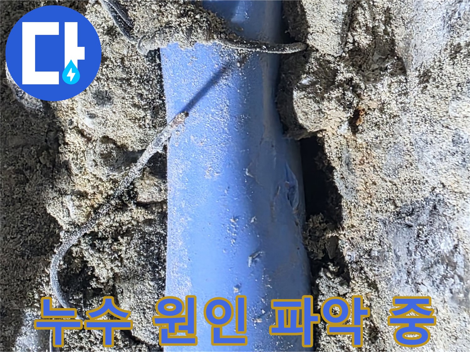 분당 쇳골로 누수 - 누수의 정확한 원인을 파악하기 위해 배관 상태를 꼼꼼히 확인하고 있습니다.