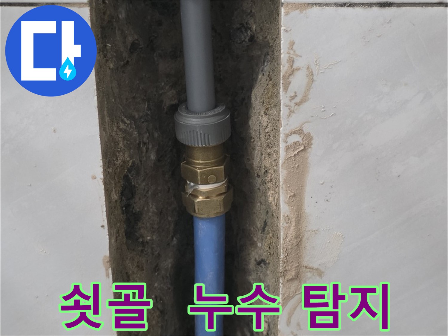 분당구 쇳골 - 꼼꼼한 누수 탐지로 숨은 배관 문제 해결