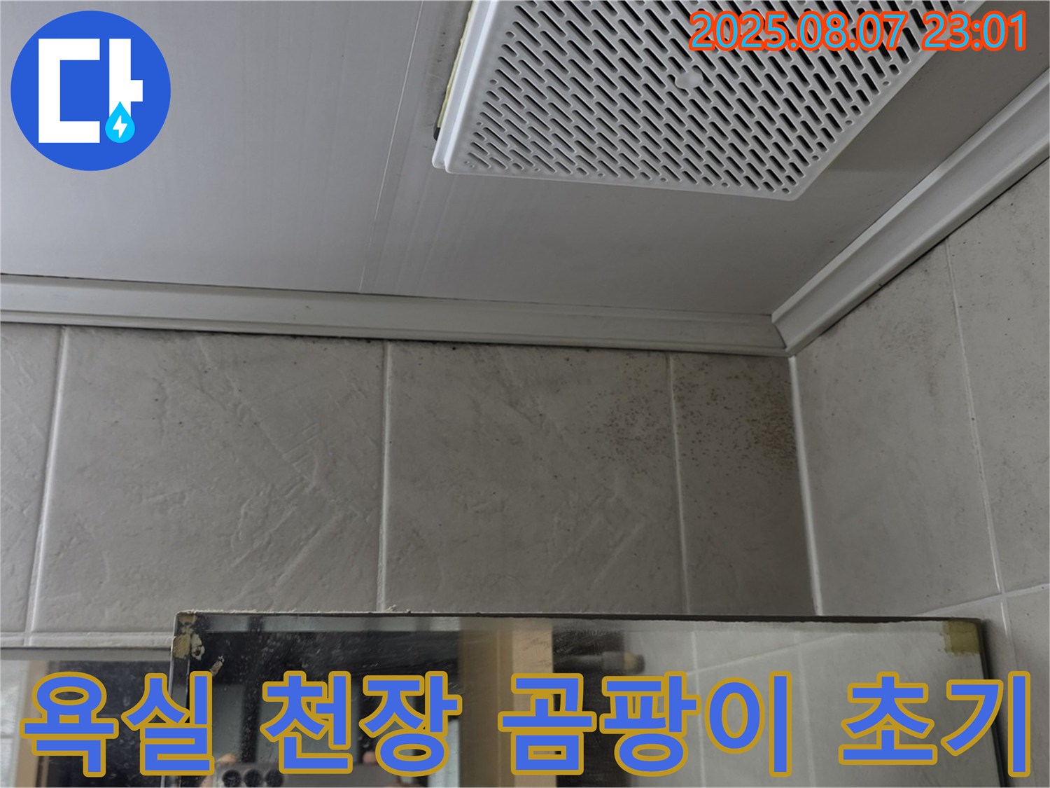 욕실 천장 모서리-곰팡이 발생 초기 모습-누수 전문가의 육안 진단