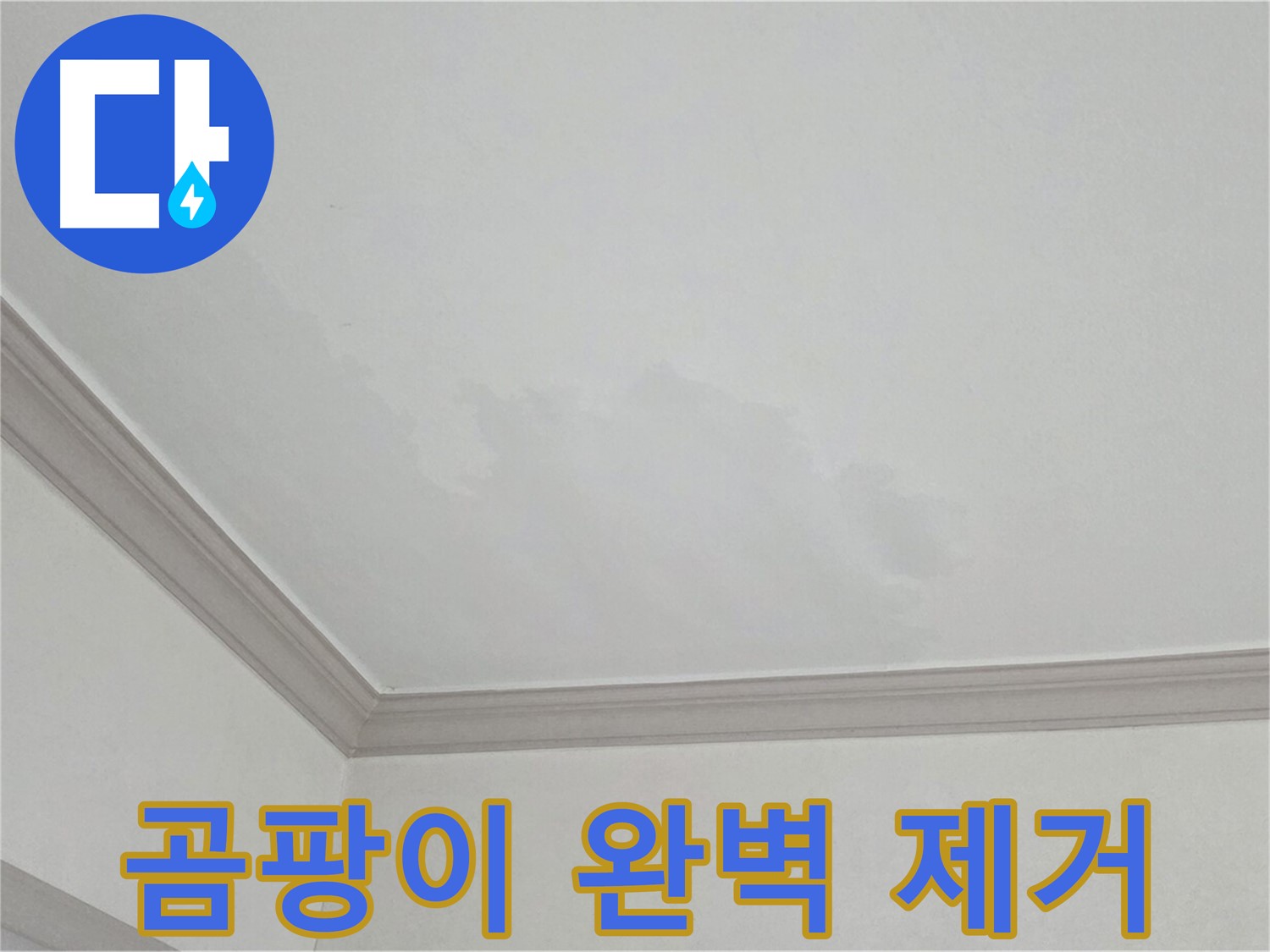 논현주공1단지 아파트 누수 - 곰팡이 완벽 제거 시공