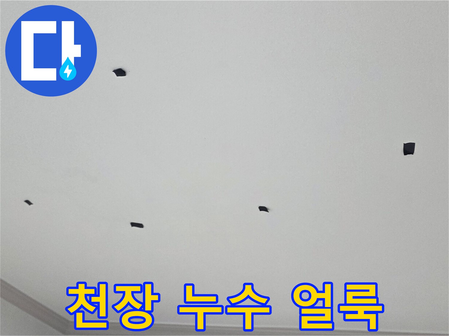 논현주공1단지 아파트 천장 누수 얼룩 - 누수 위치를 특정하기 위한 중요한 단서