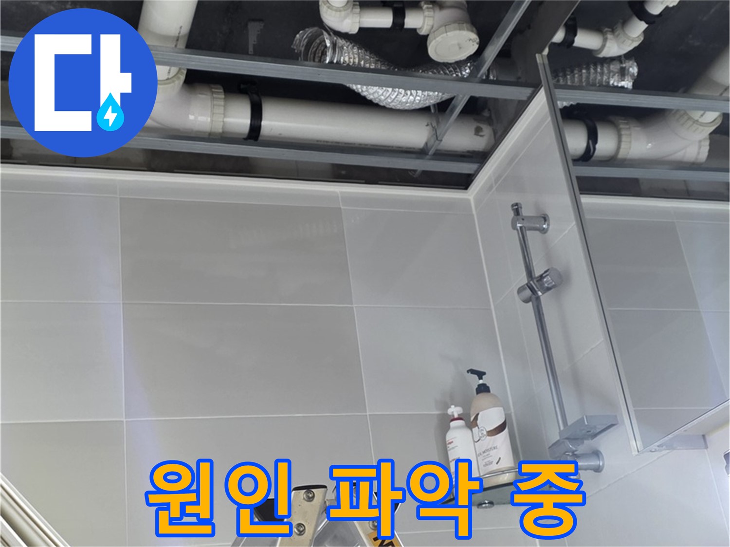 양주 옥정 율정마을 욕실 누수 - 배관 연결부 주변 누수 원인 파악 중