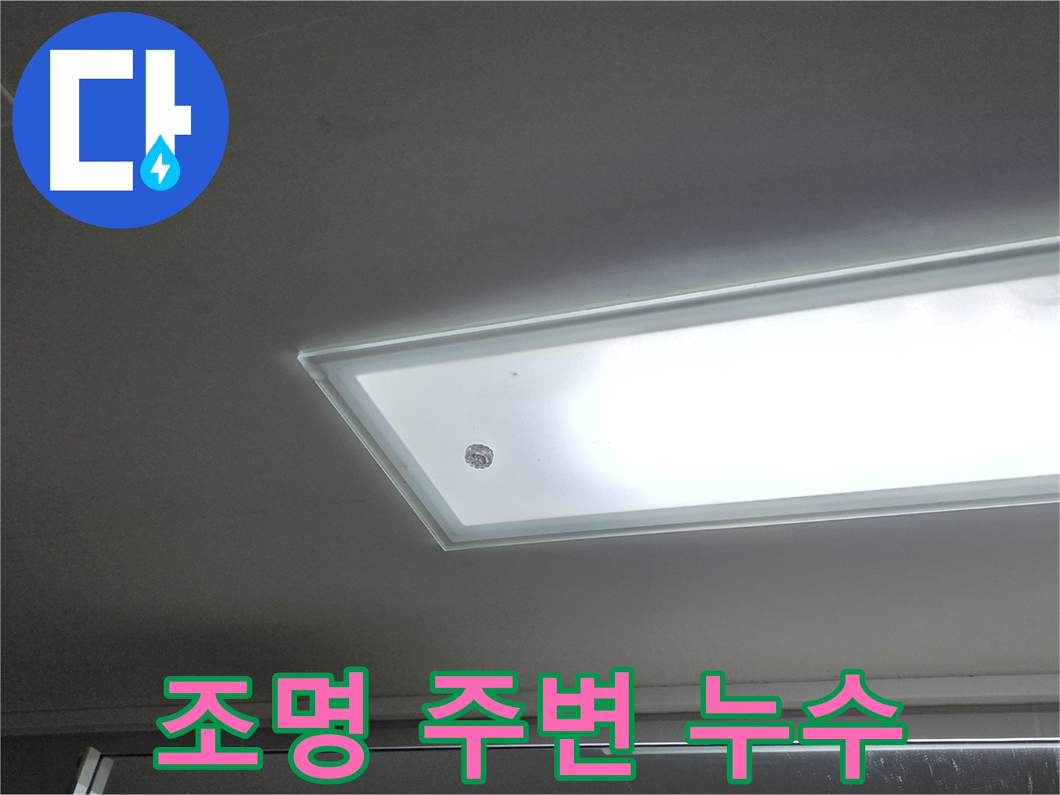 양주 옥정 율정마을13단지 아파트 천장 조명 주변 누수 - 누수탐지 전문가의 정확한 진단이 필요합니다.
