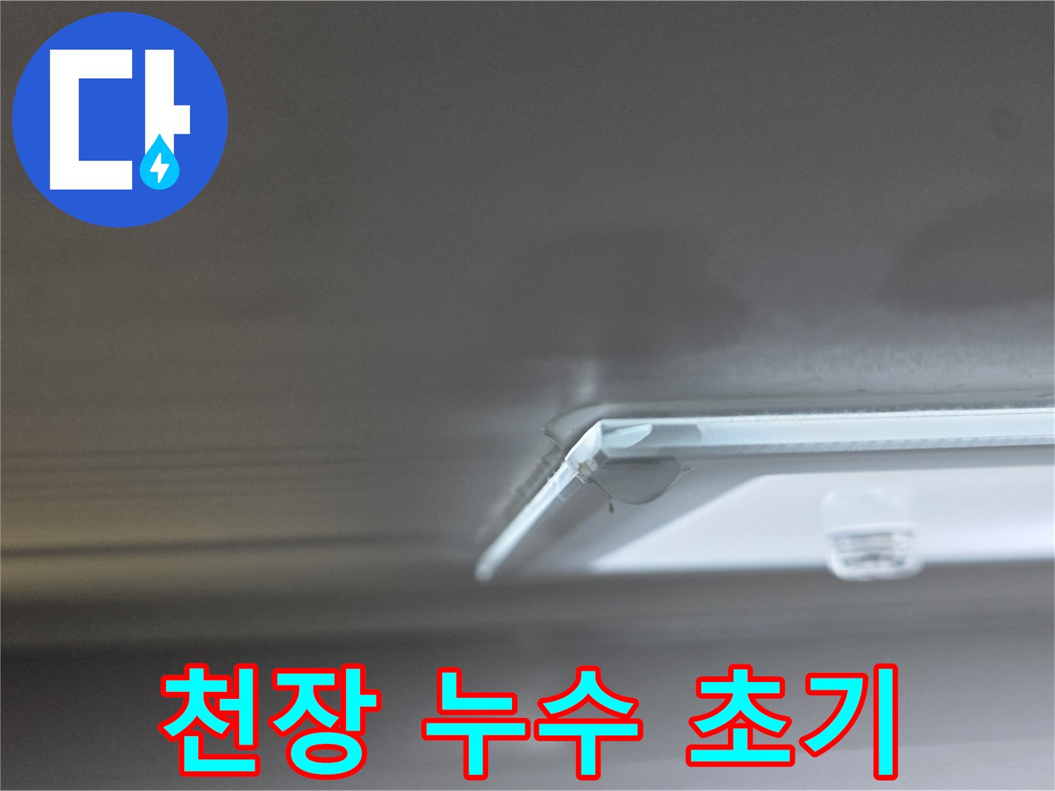 양주 옥정동 율정마을 13단지 아파트 천장 누수 - 초기 누수 진단 및 점검 과정입니다.