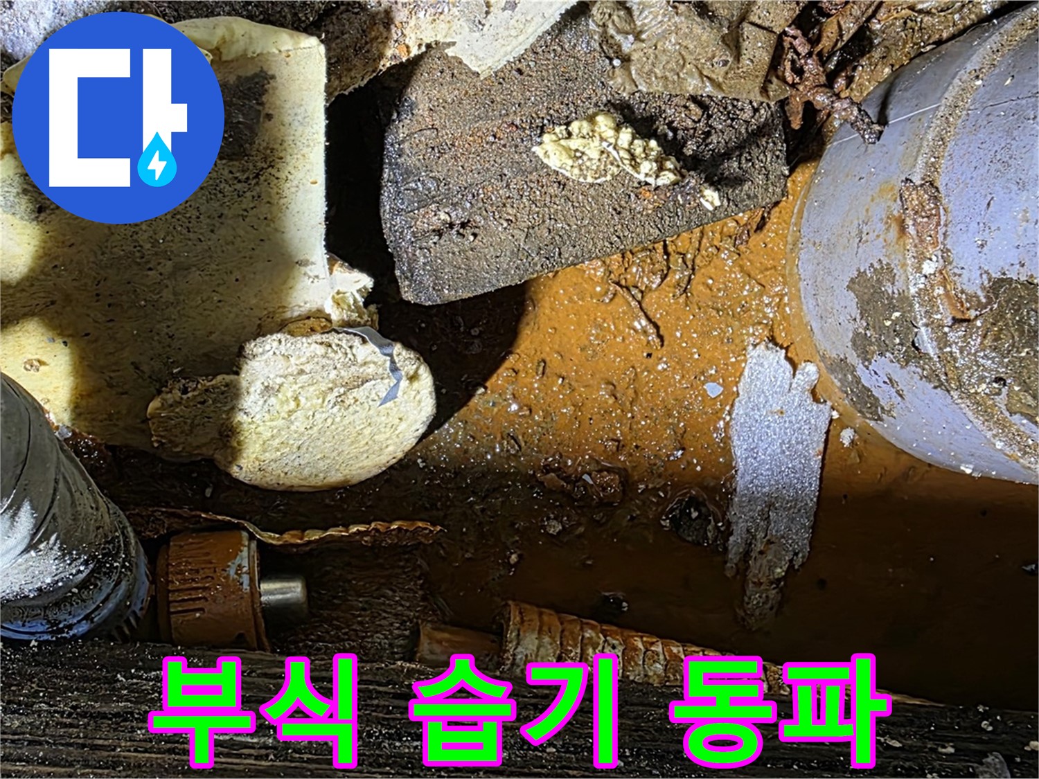 원삼 누수 현장 - 배관 부식과 습기찬 보온재 - 겨울철 동파 대비가 필요합니다.