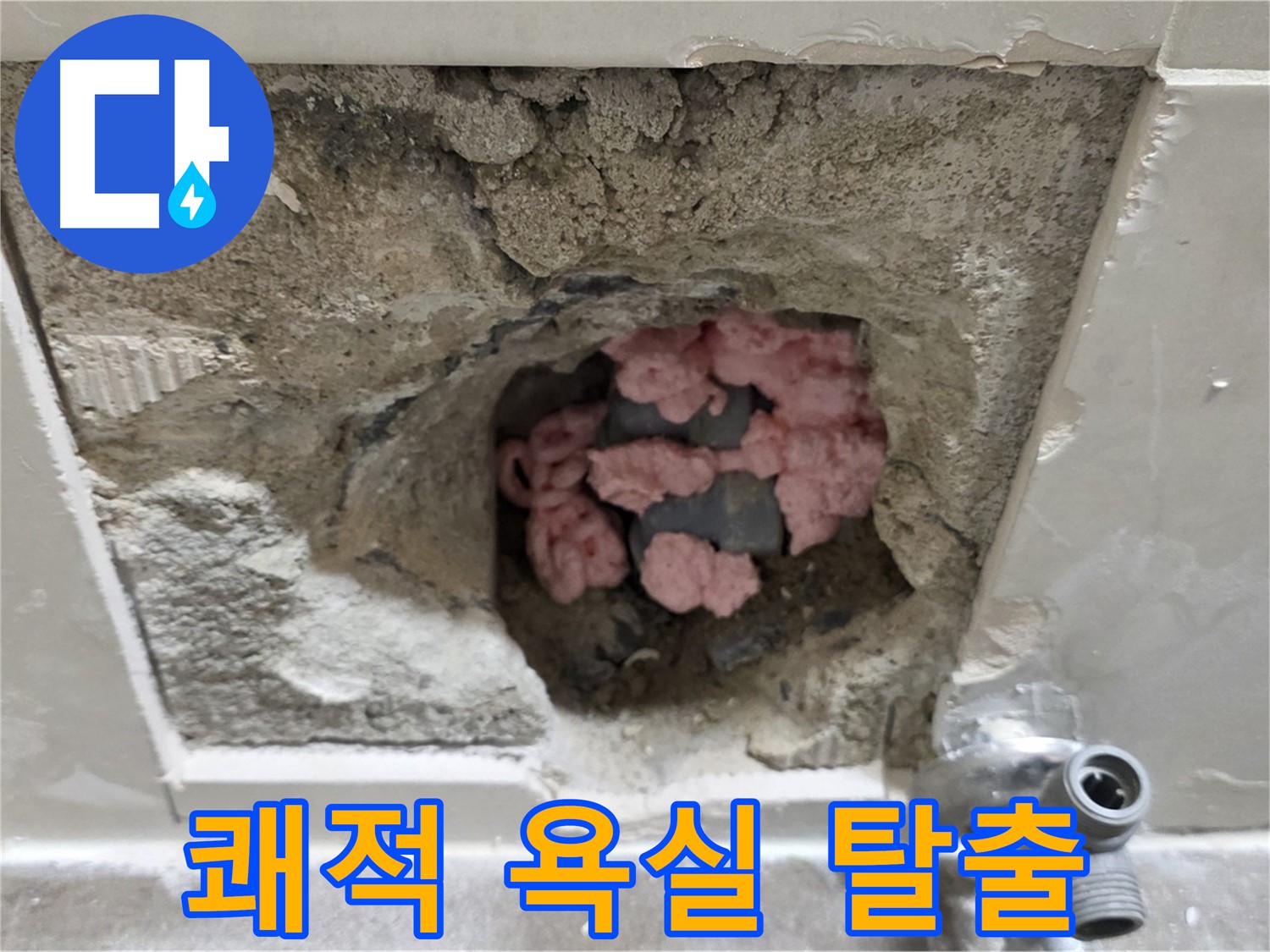 래미안월곡아파트 123동 누수 - 곰팡이 지옥에서 벗어나 쾌적한 욕실로 탈출하세요!