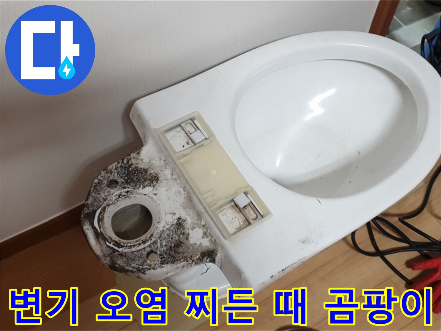 변기 오염 - 찌든 때와 곰팡이 완벽 제거 약속