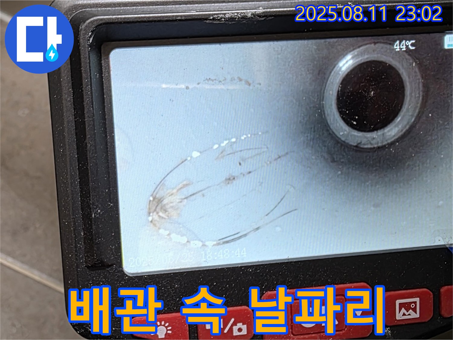 오패산로 90 래미안 월곡 아파트 누수 - 내시경으로 배관 속 날파리를 확인했습니다 - 날파리가 떼로 있네요.