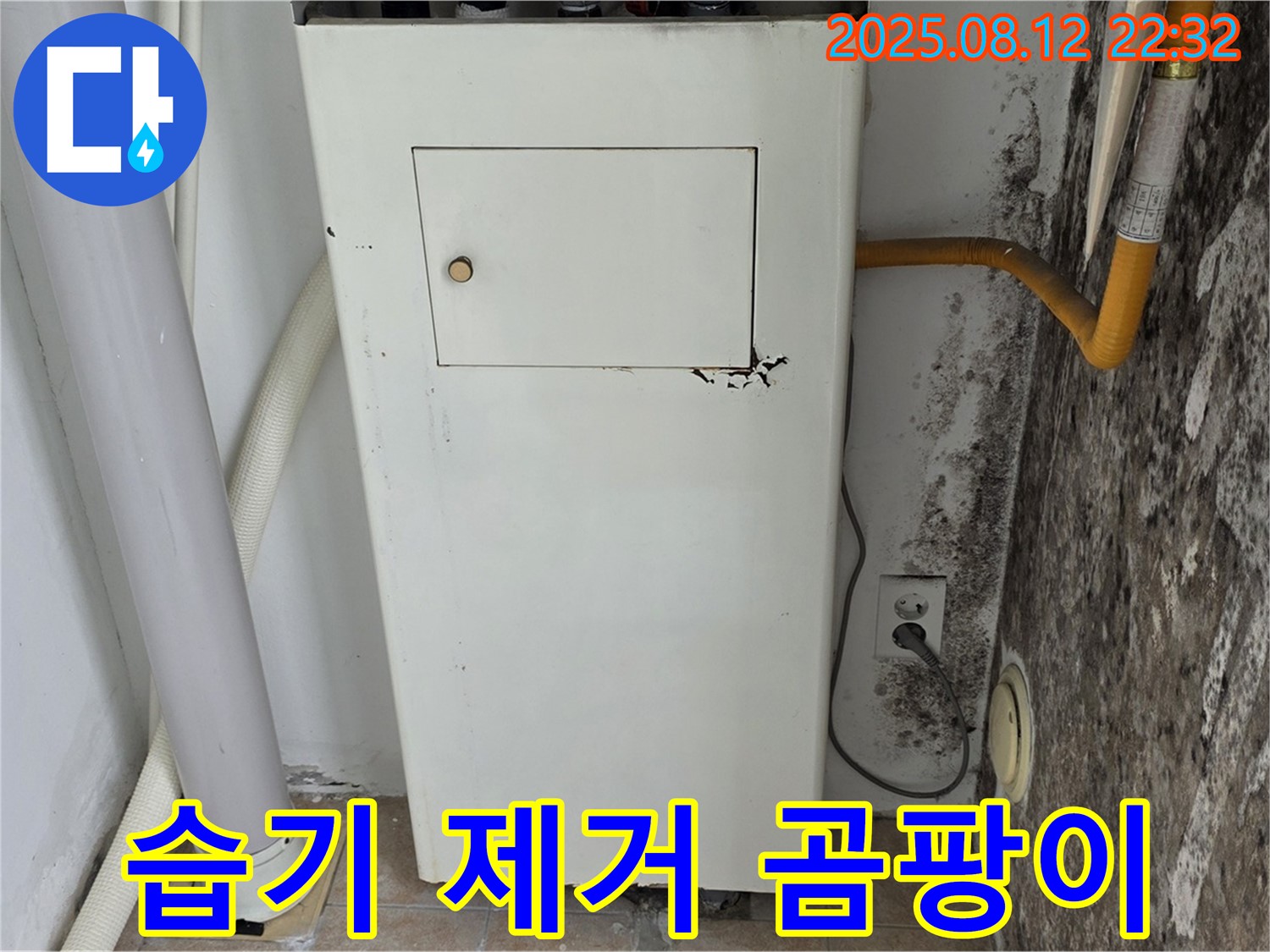 곰팡이 핀 벽 - 습기 문제 해결과 쾌적한 공간으로 변화!