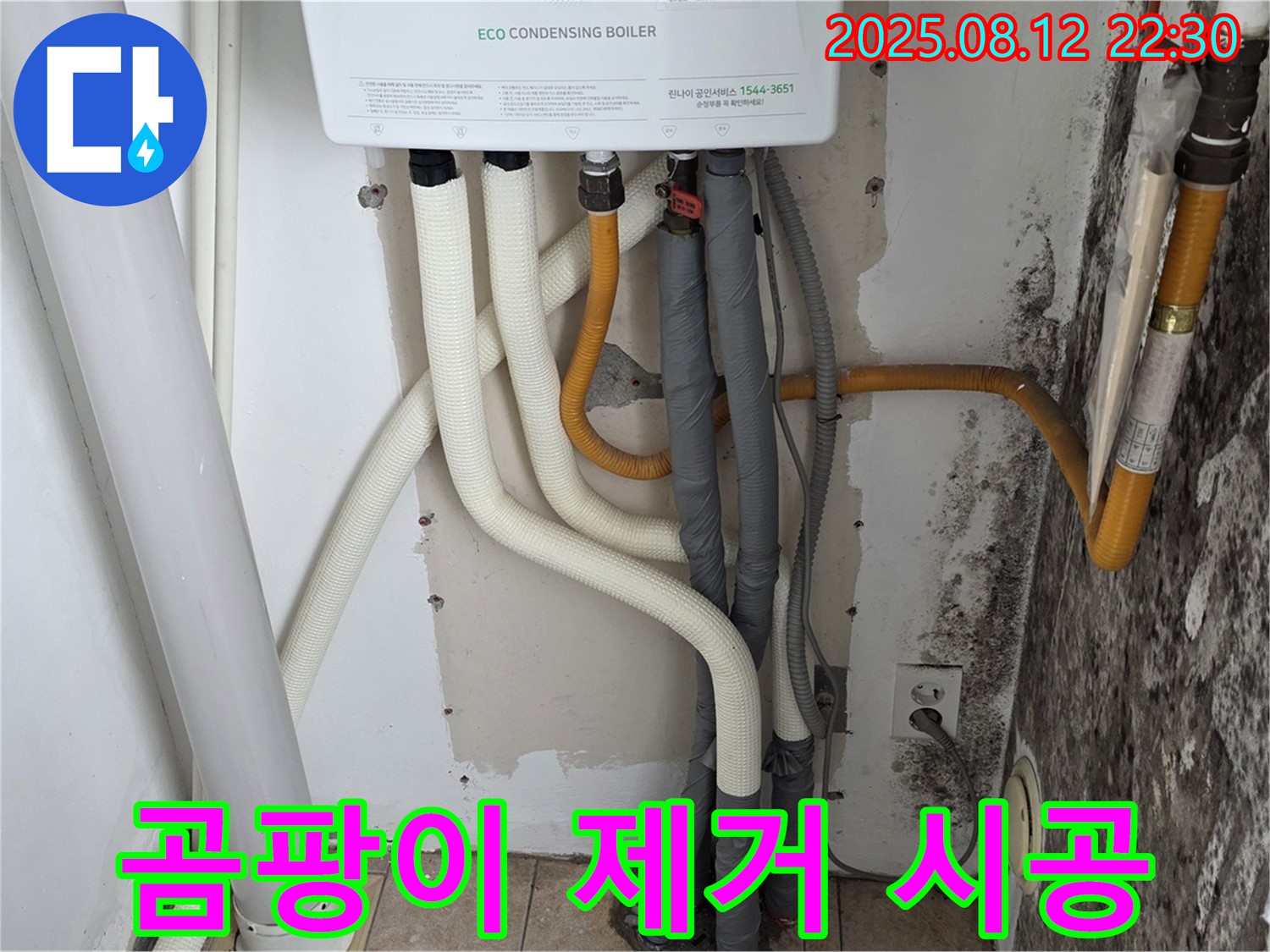 길음1동 숭인동 노후 주택 곰팡이 벽 - 누수 해결 및 곰팡이 제거 시공으로 쾌적하게.