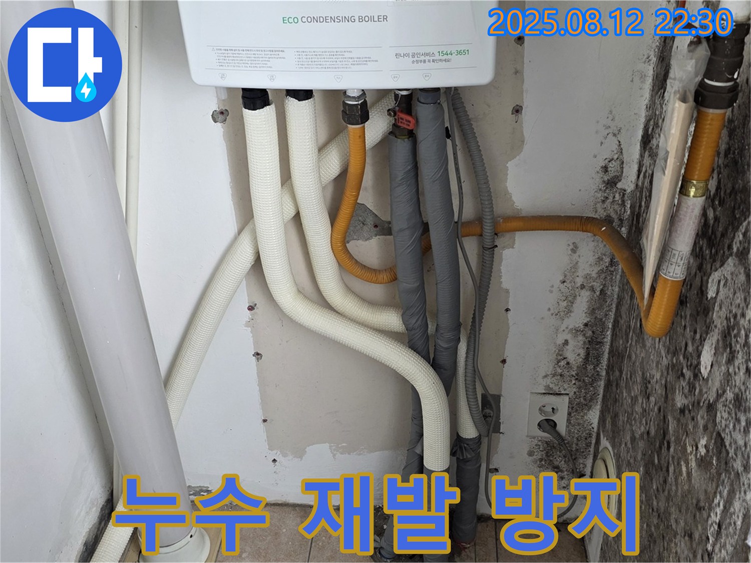 길음1동 숭인동 노후 주택 곰팡이 벽 - 누수 해결은 물론 재발 방지 시공까지 책임 시공.