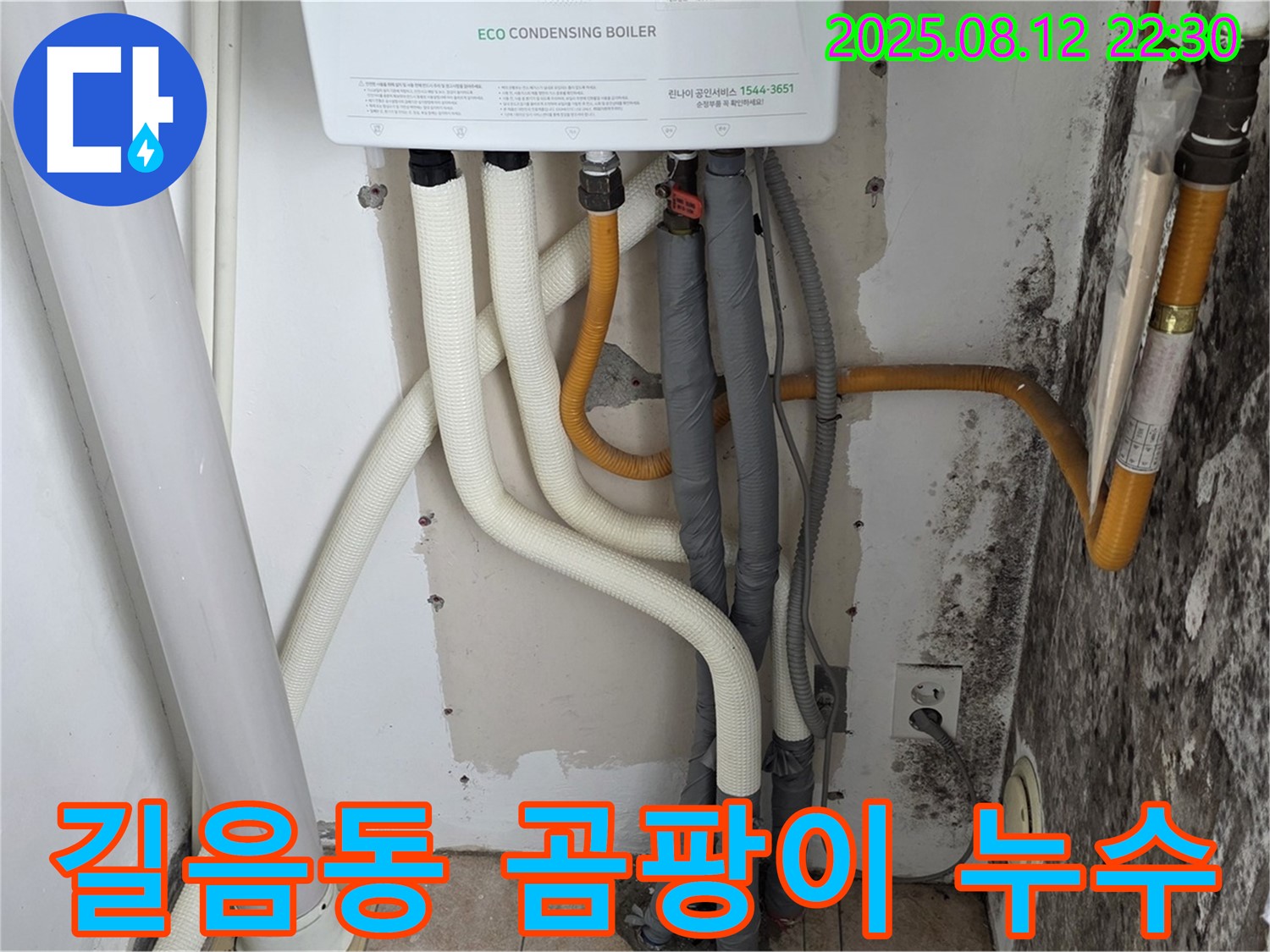 길음동 숭인동 노후 주택 보일러실 곰팡이 누수 - 누수 해결 전문 업체가 확실하게 해결해 드립니다.