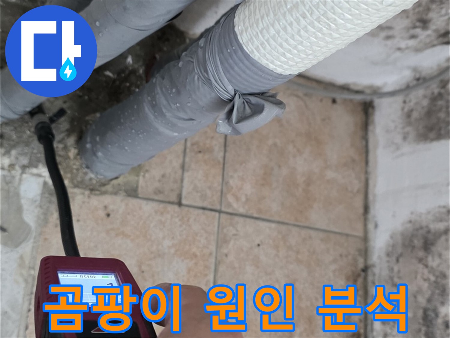 길음동 숭인로 누수 현장에서 곰팡이 발생 원인을 분석하고 있습니다 - 단순 결로인지, 누수인지 정확하게 판단합니다.