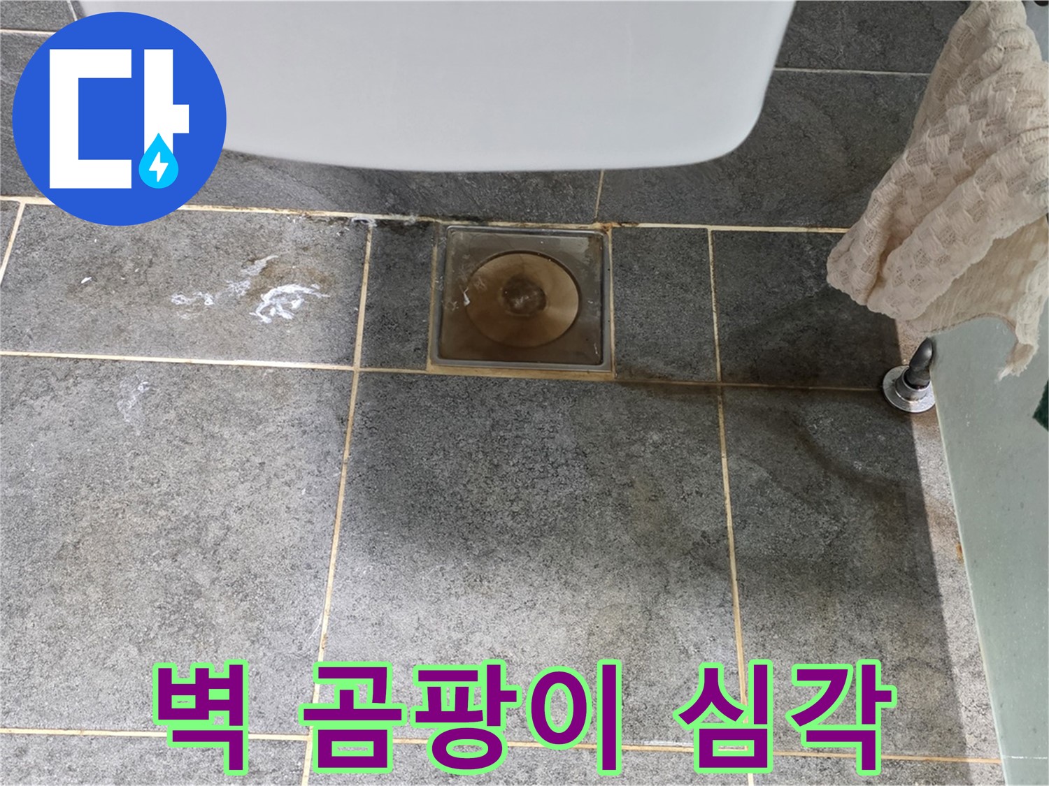 벽에 곰팡이 심각 - 숨겨진 누수 탐지 - 확실 해결