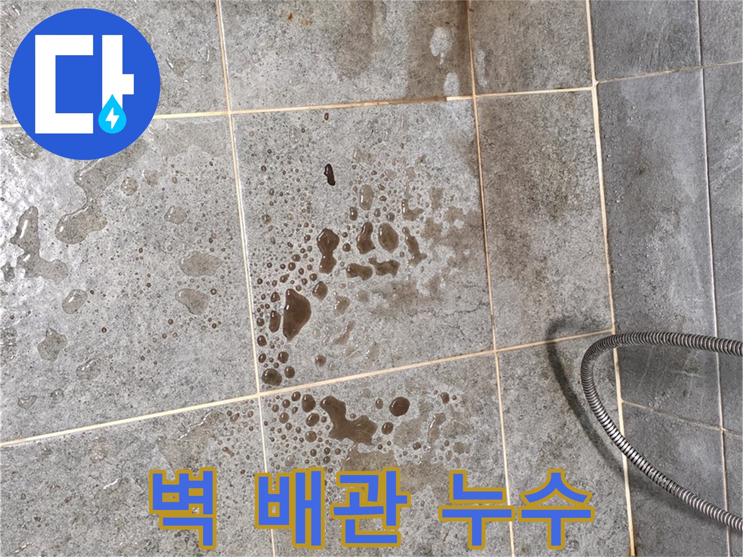 샤워기 벽 배관 연결 부위 - 누수 - 타일 젖음