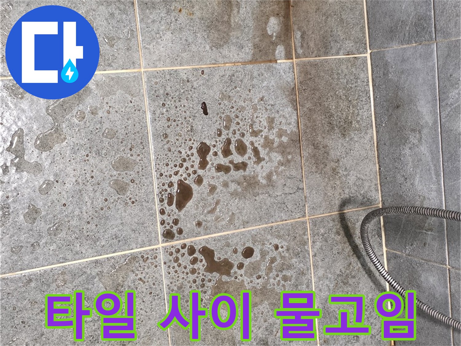 샤워부스 바닥 타일 - 물 고임 - 곰팡이 의심