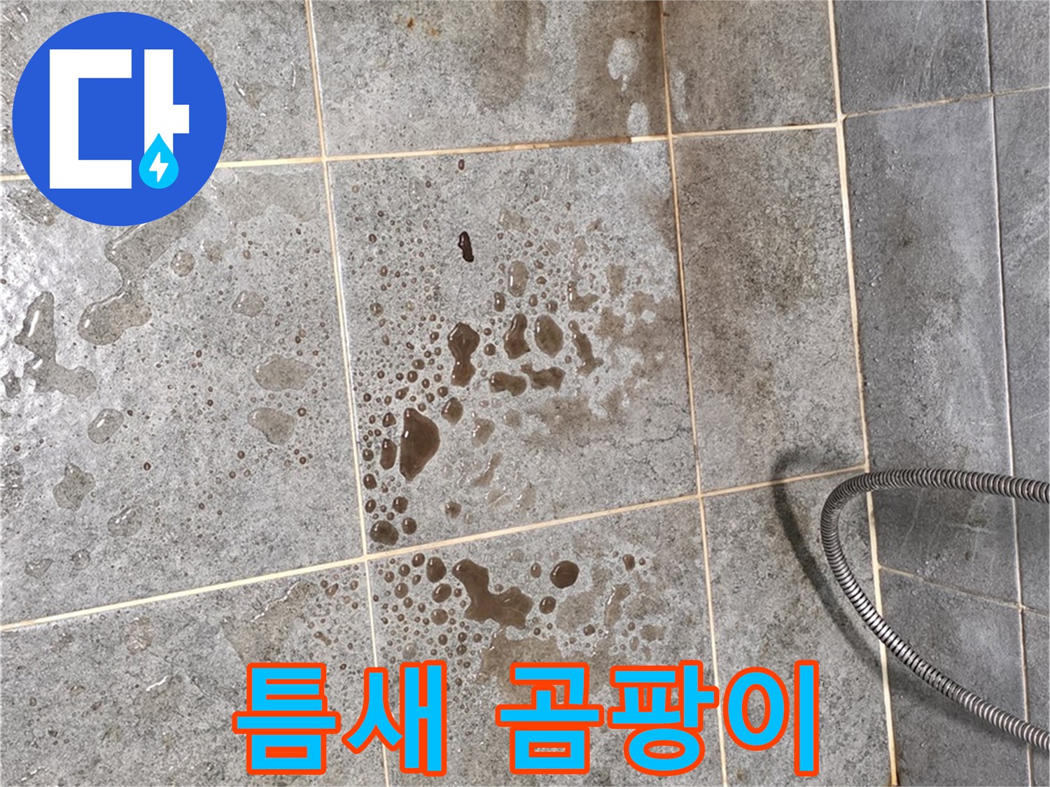 샤워부스 유리 틈새 - 곰팡이 - 실리콘 재시공