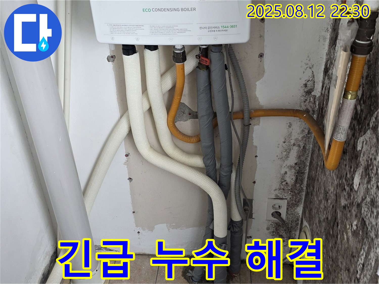 성북구 길음1동 숭인동 - 24시 긴급 곰팡이 벽 누수 완벽 해결 및 곰팡이 제거.