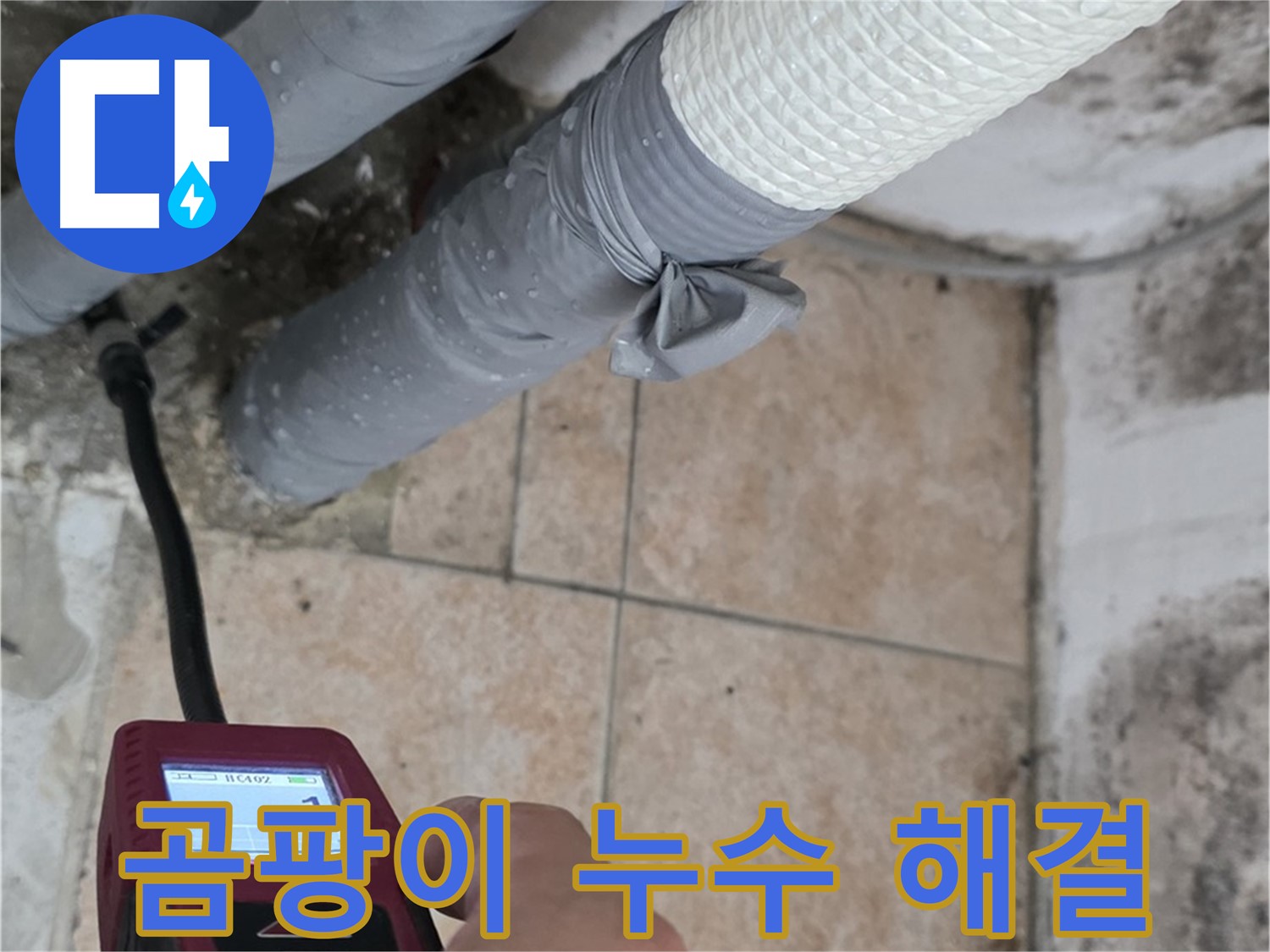 성북구 길음동 누수 현장에서 곰팡이 발생 원인을 파악하고 배관 누수를 해결하고 있습니다 - 쾌적한 환경을 되찾아 드립니다.