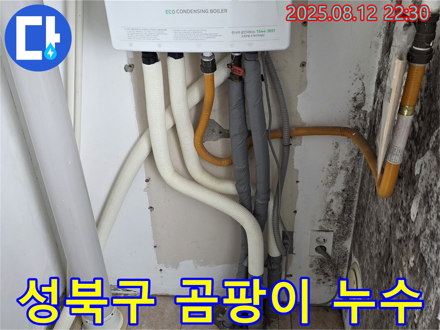 성북구 길음동 숭인동 곰팡이 벽 누수 - 누수 원인을 찾아 곰팡이 문제까지 완벽하게 해결해 드립니다.