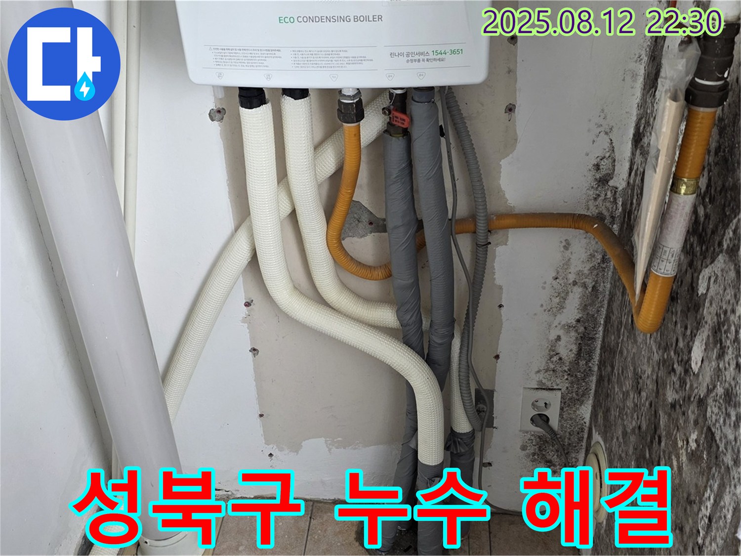 성북구 길음동 숭인동 노후 주택의 벽 누수 문제 - 전문 기술과 경험을 바탕으로 누수 및 곰팡이 문제를 완벽하게 해결했습니다.