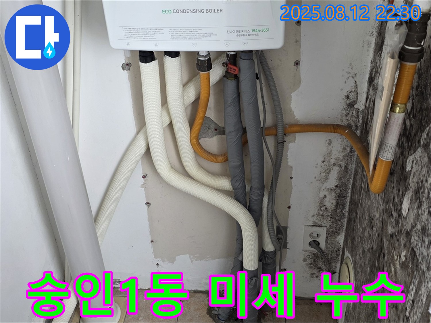 숭인1동 길음동 노후 주택의 벽 미세 누수 문제 - 첨단 누수탐지 장비로 정확하게 누수 지점을 찾아 곰팡이 문제까지 해결했습니다.