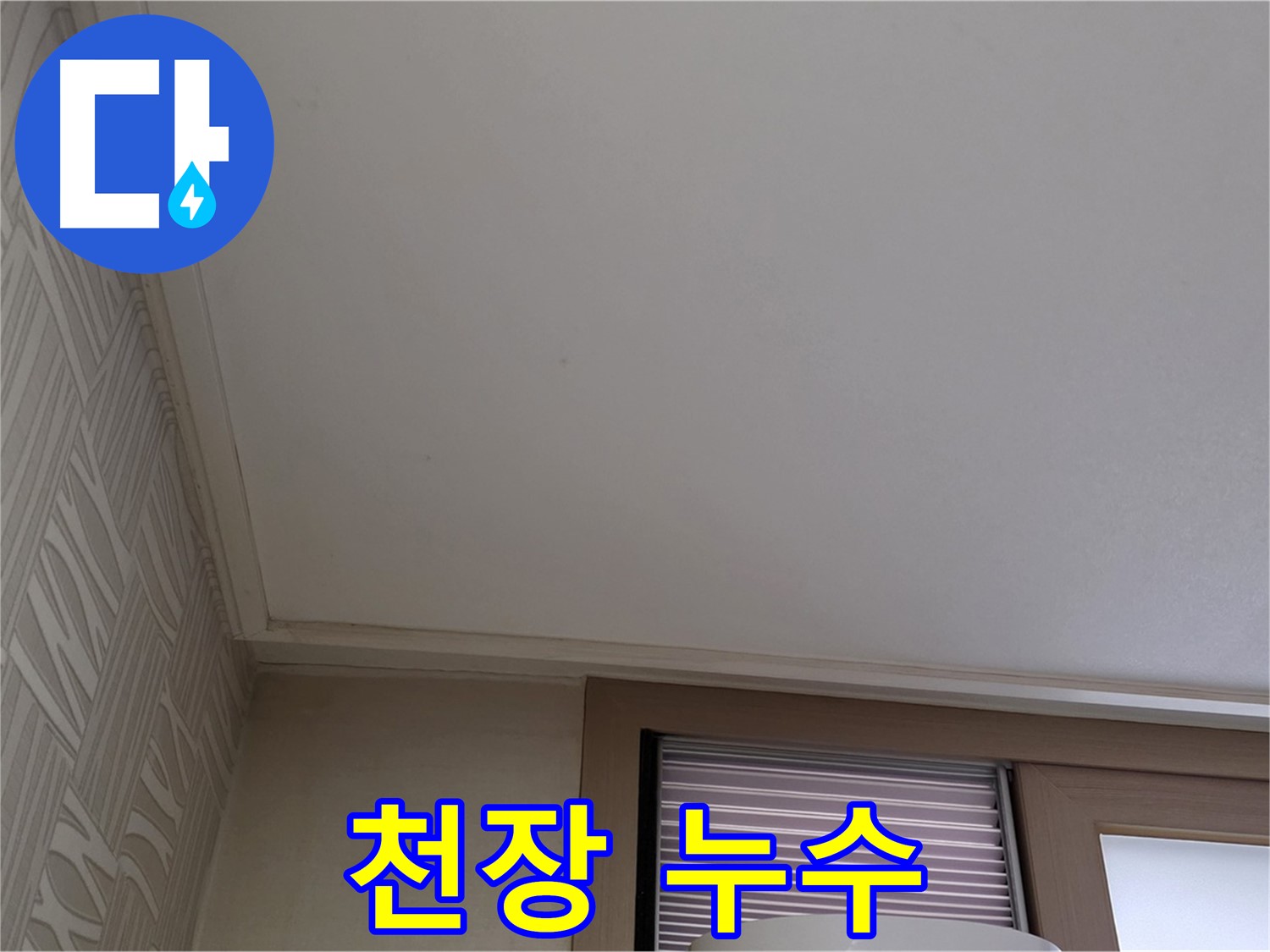 월드컵파크 5단지 천장 누수 - 믿을 수 있는 누수 전문가