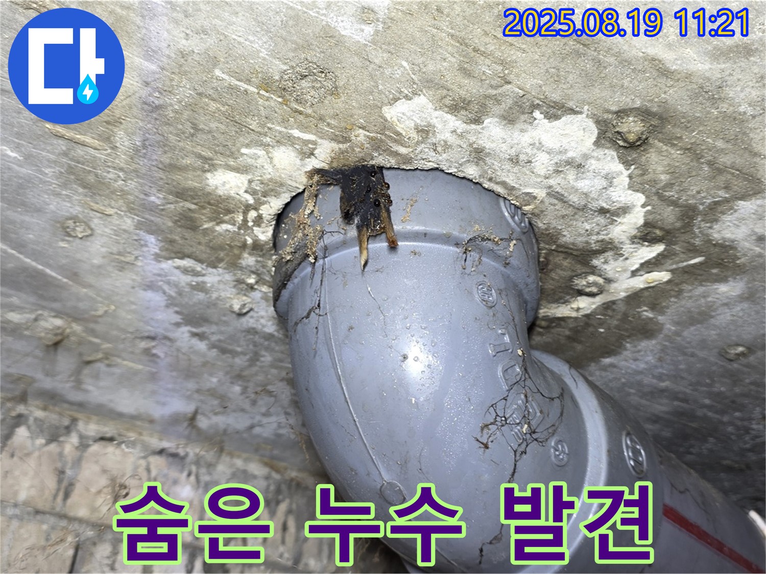 수유동 삼광빌라 누수 - 천장 속 숨어있는 배관 누수 지점을 찾아낸 모습입니다.