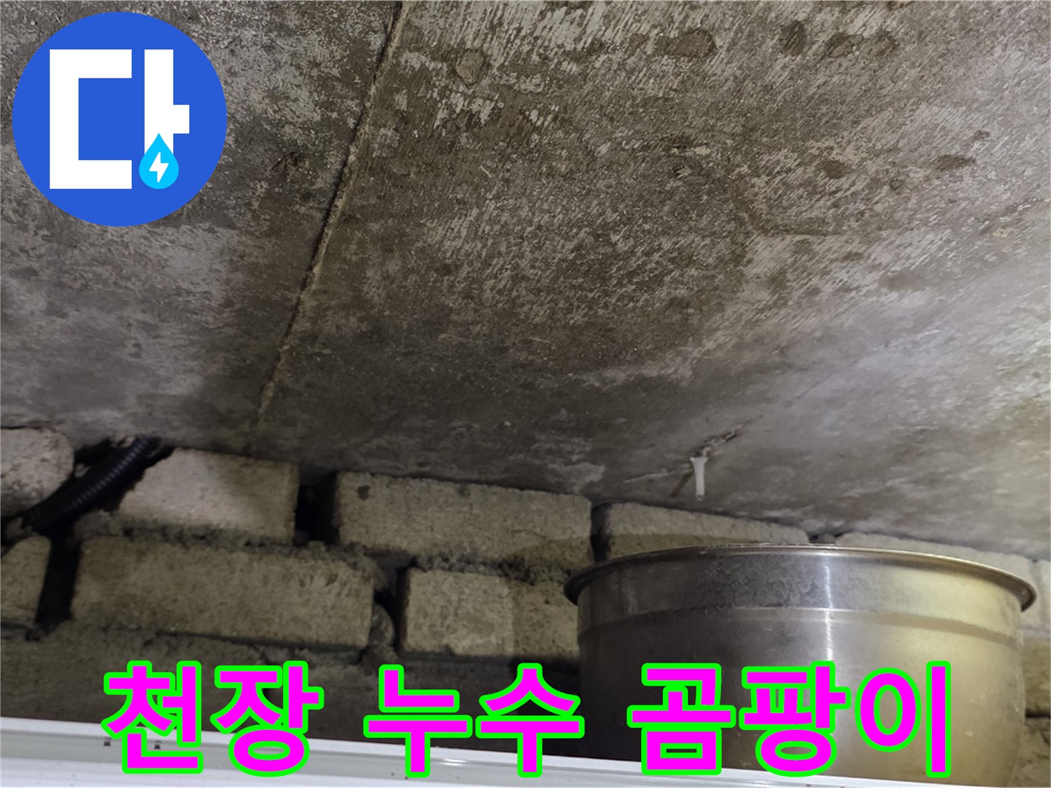 원일아파트 천장 누수 - 곰팡이 발생 직전의 천장과 물받이 양동이가 놓여진 긴급한 현장입니다.