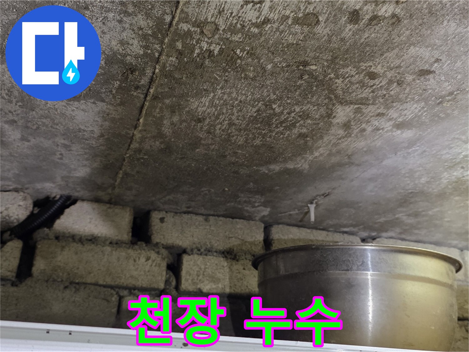 원일아파트 천장 누수 - 천장에 물이 고여 있는 모습입니다. 빠른 조치가 필요합니다.