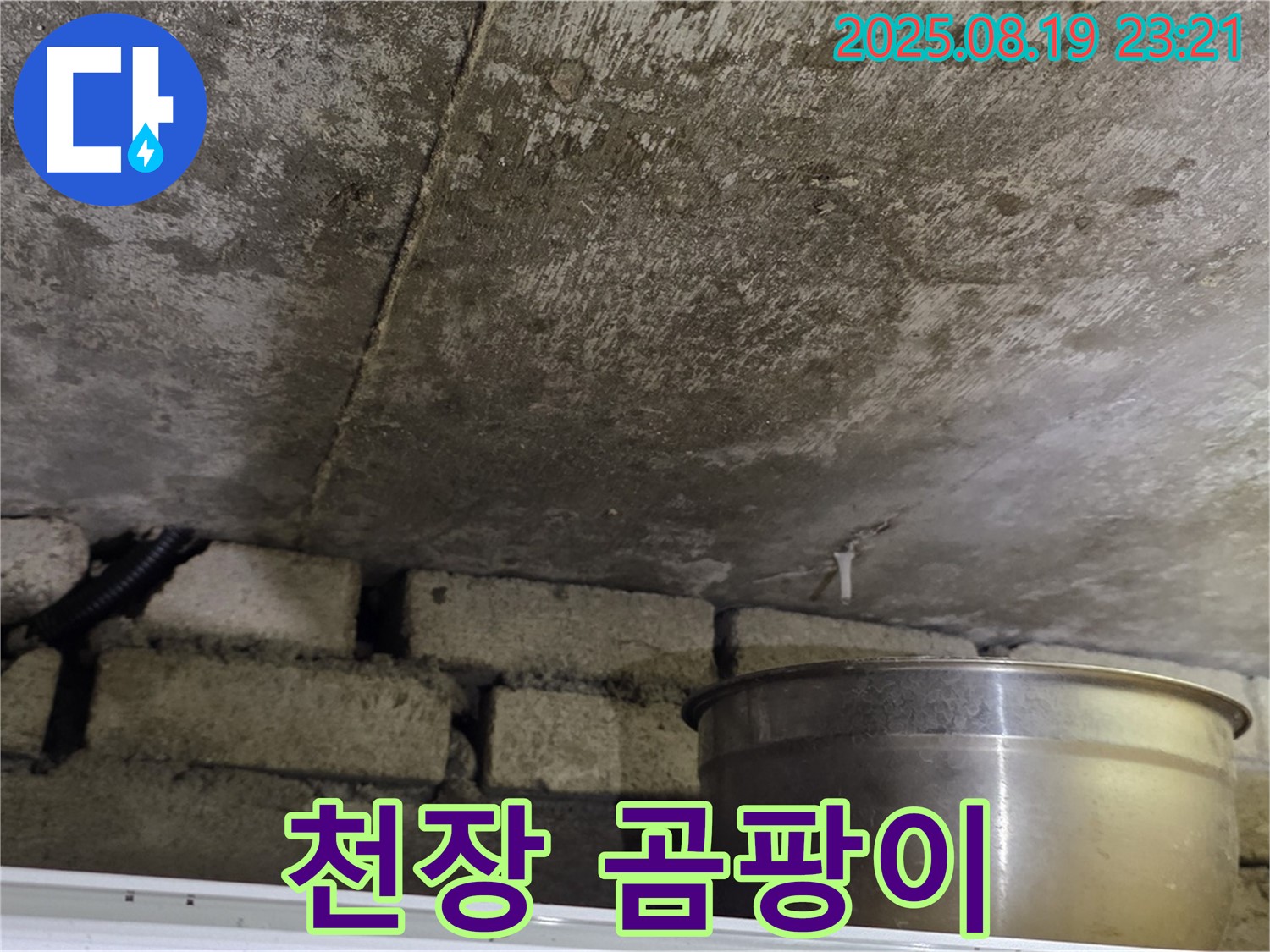 천장 곰팡이 - 누수로 인해 천장에 곰팡이가 심하게 핀 모습 - 건강에 유의하세요.