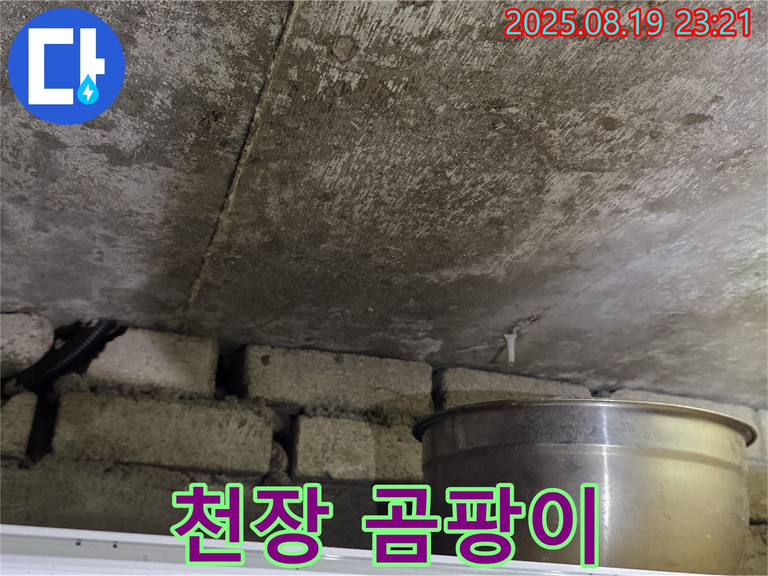 천장 곰팡이 - 누수로 인해 천장에 곰팡이가 심하게 핀 모습 - 건강에 유의하세요.