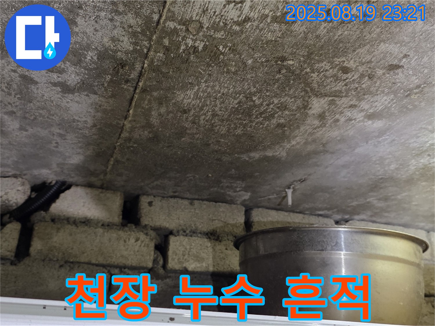 천장 누수 흔적 - 천장에 넓게 퍼진 누수 자국과 곰팡이