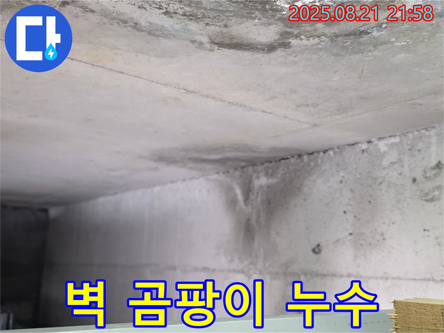 고양시 덕이동 누수 현장 - 콘크리트 벽면에 곰팡이가 피어 있고 누수가 진행 중인 사진입니다.