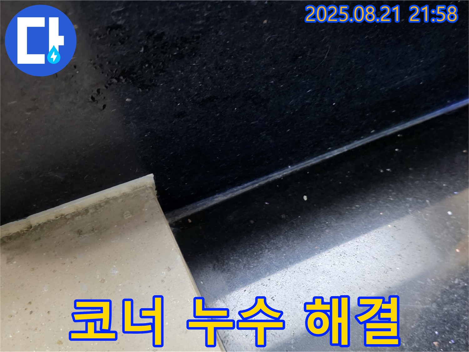 일산 하이파크 누수 현장 - 곰팡이 핀 욕실 코너 타일 틈새를 통해 누수 위치를 파악하고 문제 해결을 위한 준비를 하는 모습