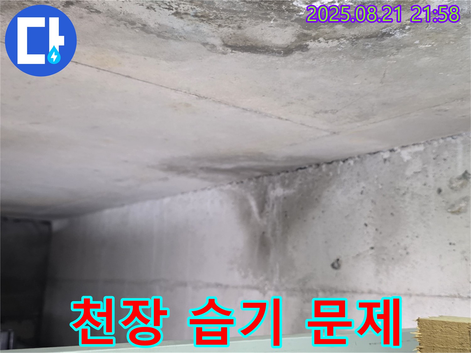 일산서구 주엽동 누수 현장 - 콘크리트 천장에 습기가 차고 곰팡이가 발생한 사진입니다.