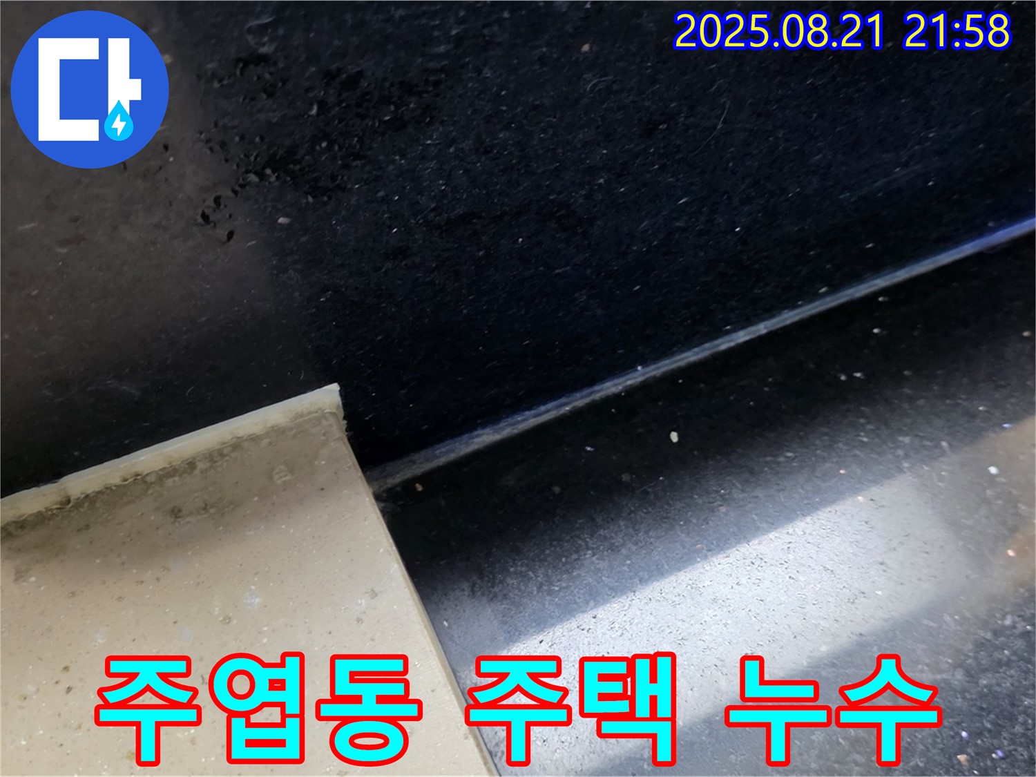 일산서구 주엽동 주택 누수 - 곰팡이가 핀 타일 주변을 집중적으로 점검하여 누수 원인을 분석하는 모습