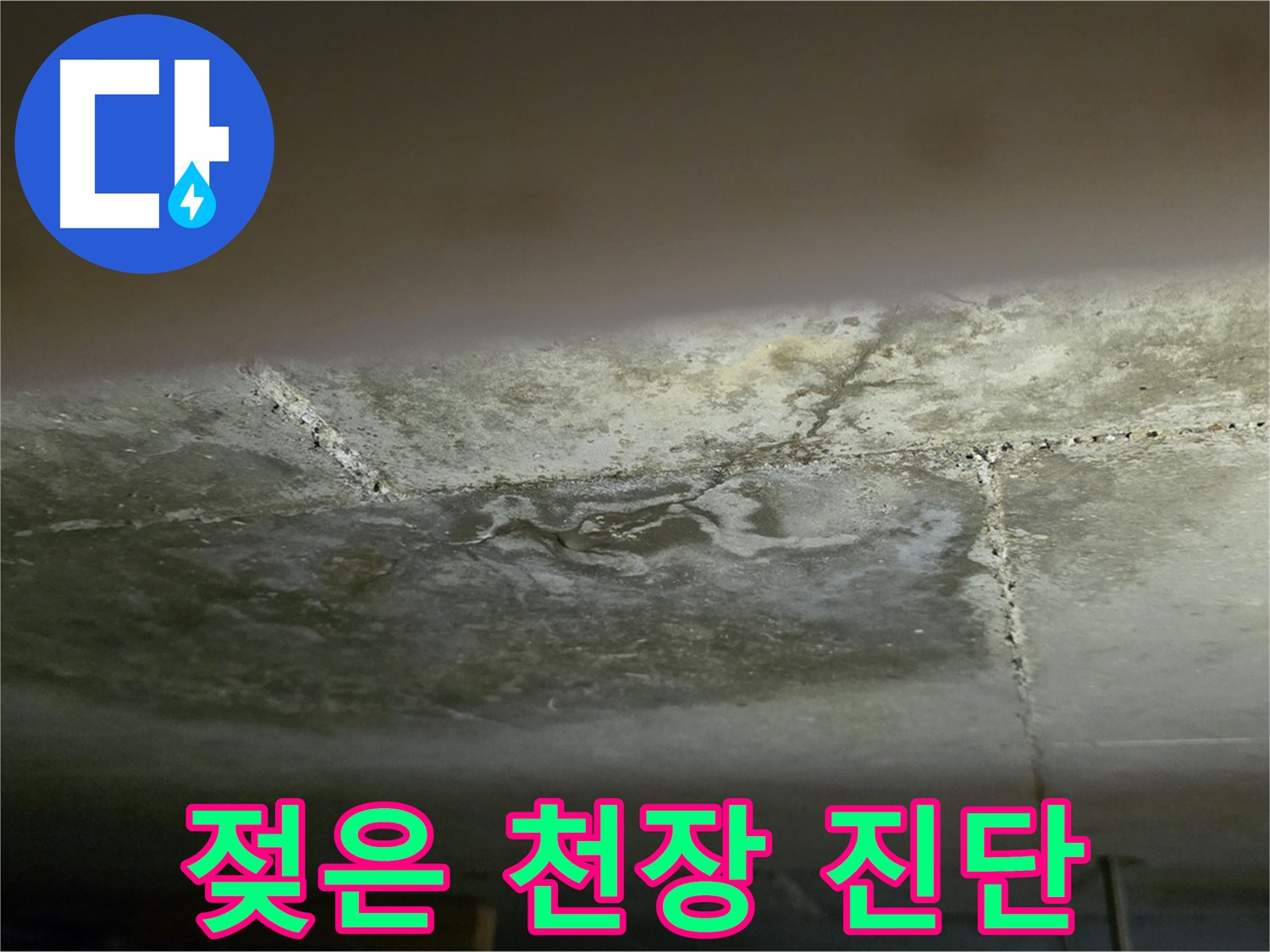 일산서구 탄현동 아파트 젖은 천장 - 누수 진단 및 초기 대응