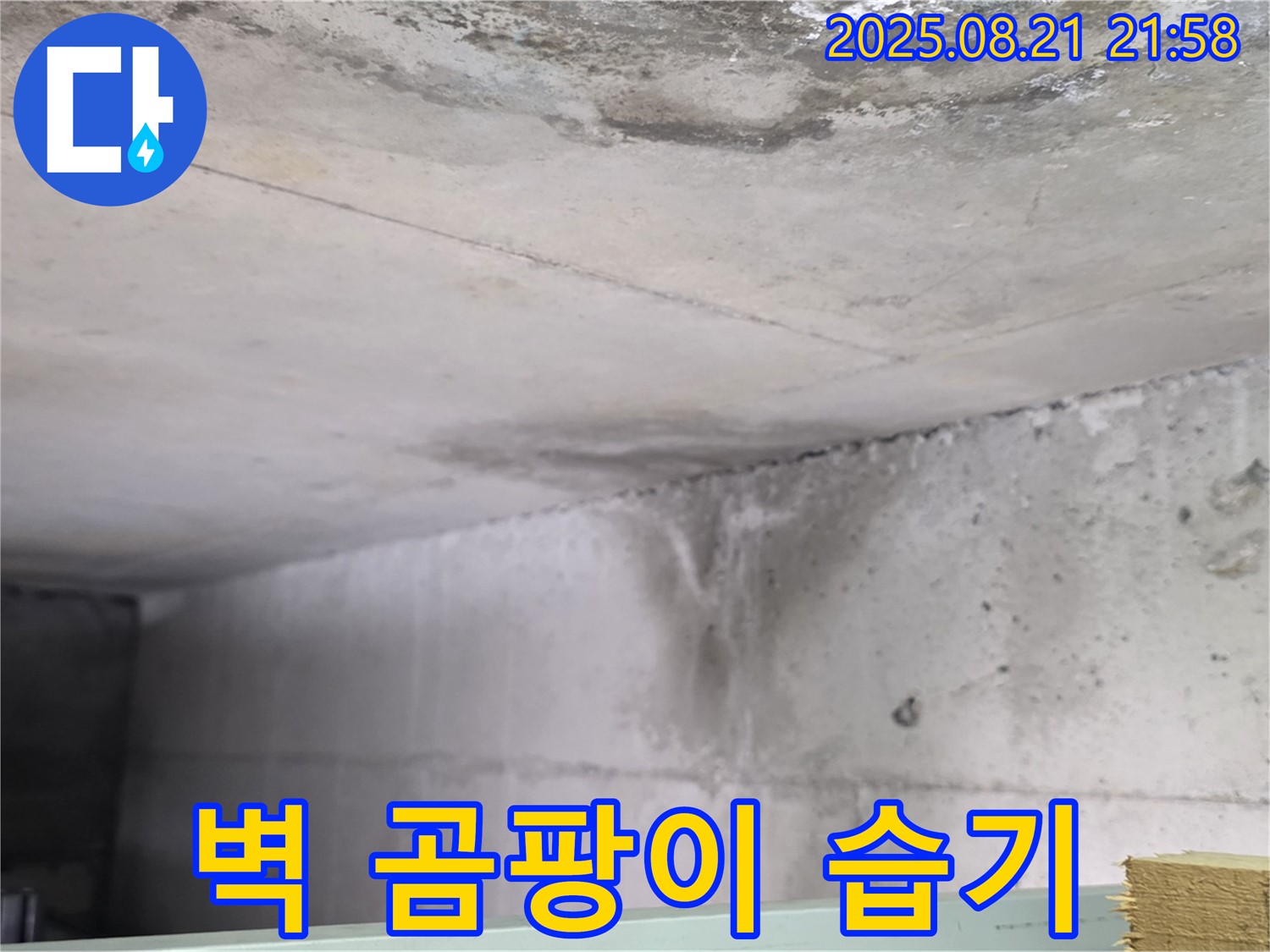 일산서구 하이파크 누수 현장 - 콘크리트 벽에 곰팡이가 피어 있고 습기가 있는 모습입니다.