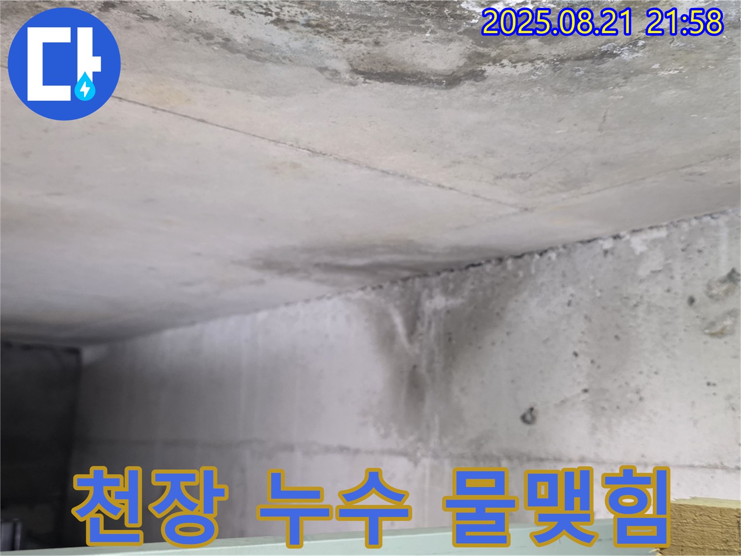 일산서구 하이파크 누수 현장 - 콘크리트 천장에 누수 자국과 함께 물방울이 맺혀 있는 모습입니다.