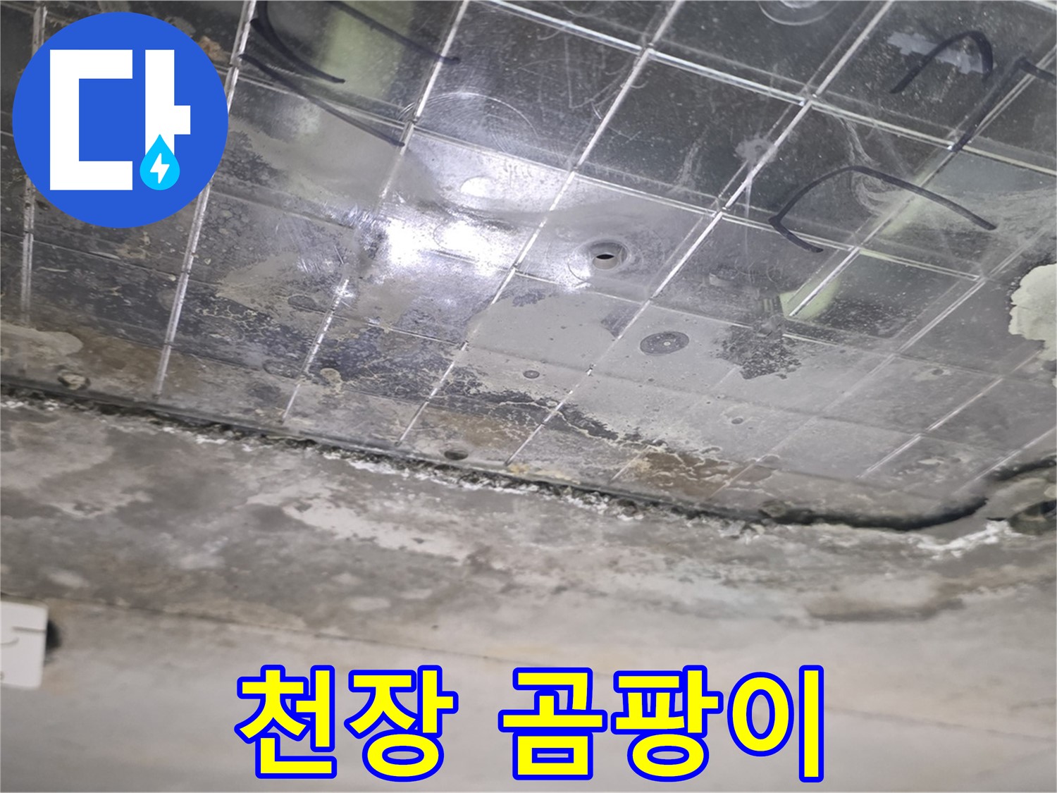천장 곰팡이 - 누수로 인해 천장에 곰팡이가 번식하고 있습니다.