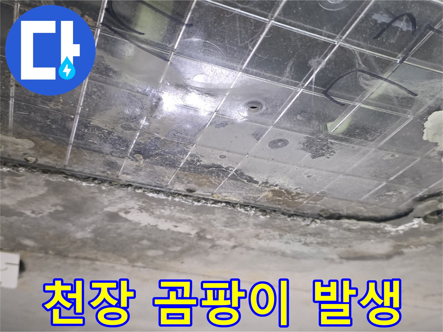 천장 곰팡이 발생 - 누수로 인해 천장에 곰팡이가 심하게 번식하고 있습니다.
