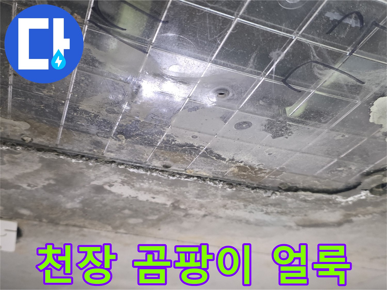 천장 곰팡이 얼룩 - 누수로 인해 천장에 곰팡이가 생긴 얼룩이 보입니다.